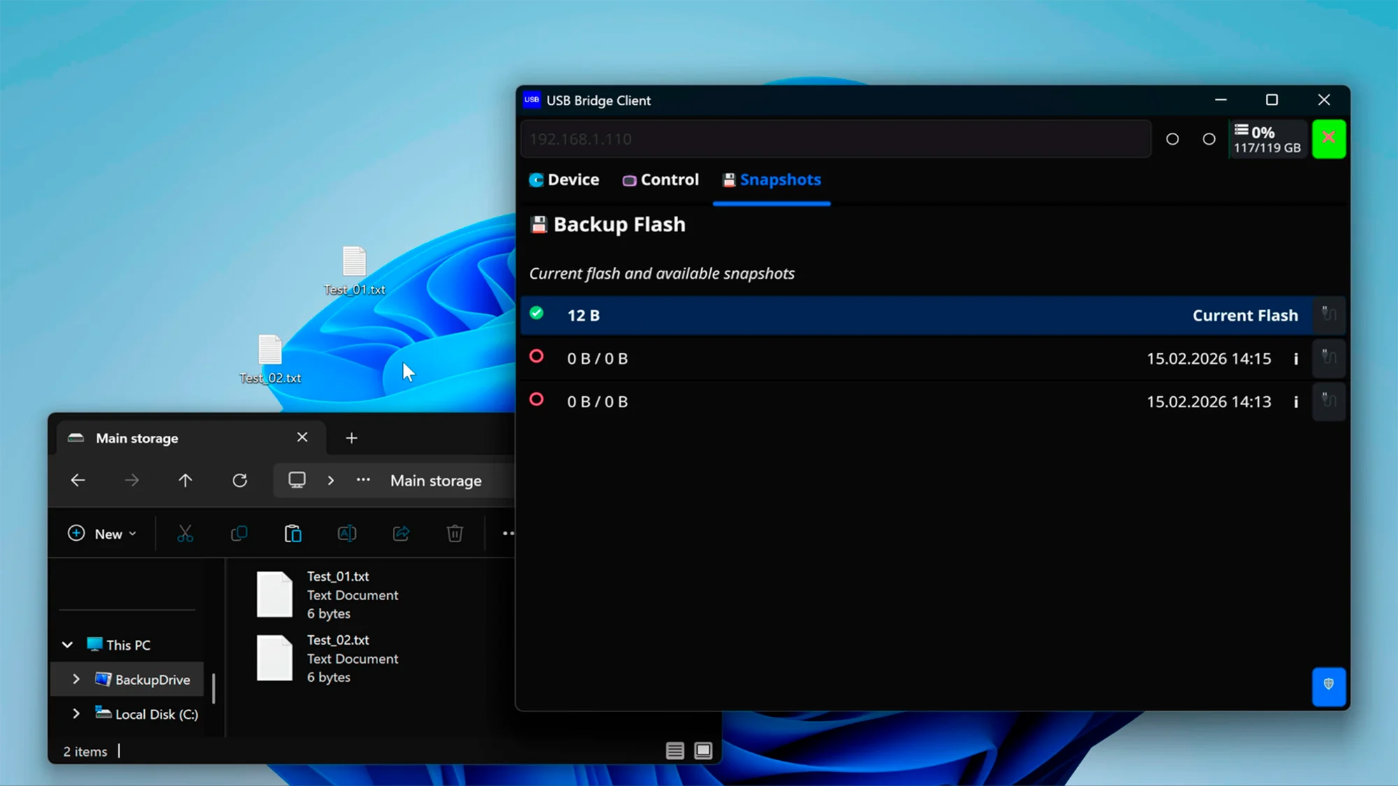 USBridge client application snapshot registry displaying a chronological list of automatically generated read-only captures